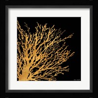 Coastal Coral on Black II Framed Print