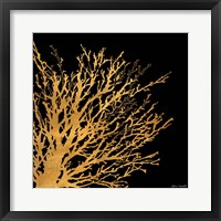 Coastal Coral on Black II Framed Print