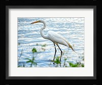 By The Lake Egret Fine Art Print