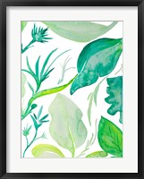 Green Water Leaves II Framed Print