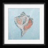 Conch & Scallop I Fine Art Print