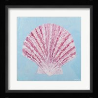 Conch & Scallop II Framed Print