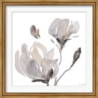 Gray Tonal Magnolias I Fine Art Print