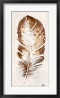 Brown Watercolor Feather I Framed Print