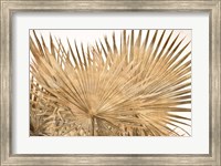 Dry Palm Leaves Panel Fine Art Print