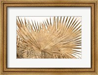 Dry Palm Leaves Panel Fine Art Print