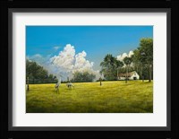 Crane Field Fine Art Print