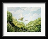 Egret Fine Art Print
