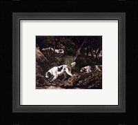 Setters Fine Art Print