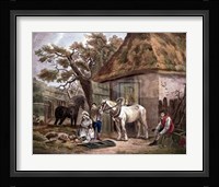 Feeding the Pigs Fine Art Print