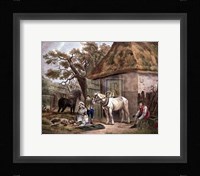 Feeding the Pigs Fine Art Print