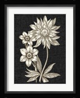 Dramatic Chintz II Fine Art Print