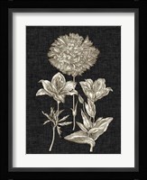 Dramatic Chintz IV Fine Art Print
