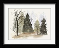 In the Mist II Framed Print