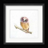 Into the Woods II on White no Border Framed Print