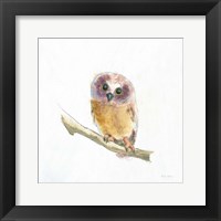 Into the Woods II on White no Border Framed Print