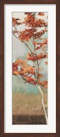 Maple Tree I Fine Art Print