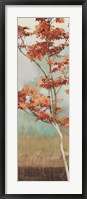 Maple Tree I Fine Art Print