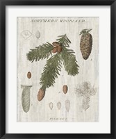 Woodland Chart V Fine Art Print