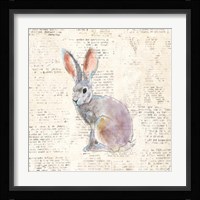 Into the Woods I Framed Print