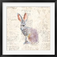 Into the Woods I Framed Print