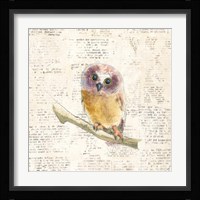 Into the Woods II Framed Print