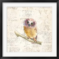 Into the Woods II Framed Print