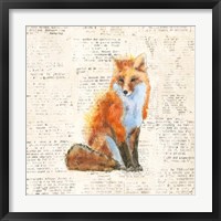 Into the Woods IV Framed Print