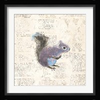 Into the Woods V Framed Print