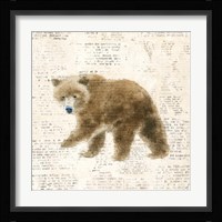 Into the Woods VI Framed Print