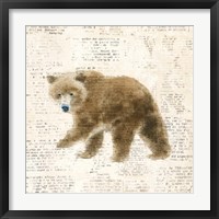 Into the Woods VI Framed Print