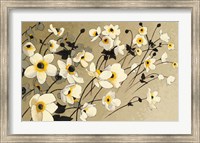 Anemones Japonaises Blancs Fine Art Print