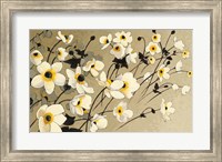 Anemones Japonaises Blancs Fine Art Print