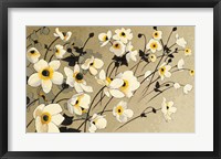 Anemones Japonaises Blancs Fine Art Print