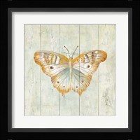 Natural Flora VII Framed Print