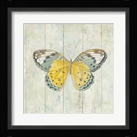 Natural Flora IX Framed Print