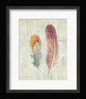 Natural Flora XI Framed Print