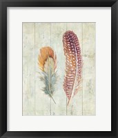 Natural Flora XI Framed Print