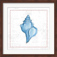 Navy Conch Shell on Newsprint with Red Fine Art Print