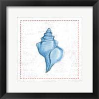 Navy Conch Shell on Newsprint with Red Fine Art Print