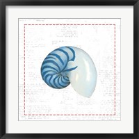 Navy Nautilus Shell on Newsprint with Red Fine Art Print
