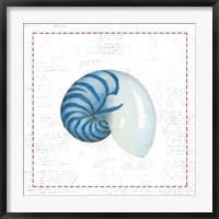 Navy Nautilus Shell on Newsprint with Red Fine Art Print