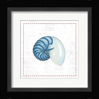 Navy Nautilus Shell on Newsprint with Red Fine Art Print
