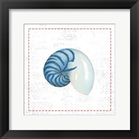 Navy Nautilus Shell on Newsprint with Red Framed Print