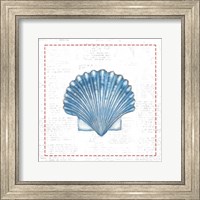 Navy Scallop Shell on Newsprint with Red Fine Art Print