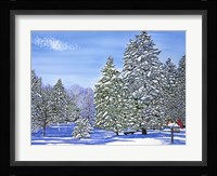 Bear Run Fine Art Print