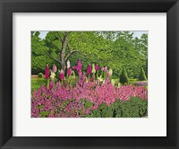 Foxglove Garden Fine Art Print