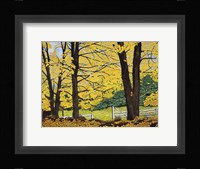 Golden Day, New Hampshire Framed Print