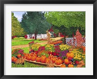 Pumpkins In Patchin, Ny Fine Art Print