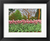 Tulips At Longwood Gardens Vi, Kennett Square, Pa Fine Art Print